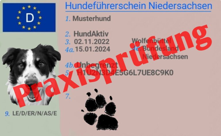 Praxisprüfung Hundeführerschein