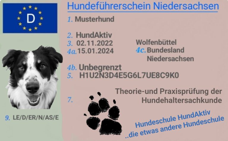Hundeführerschein Hundehaltersachkunde