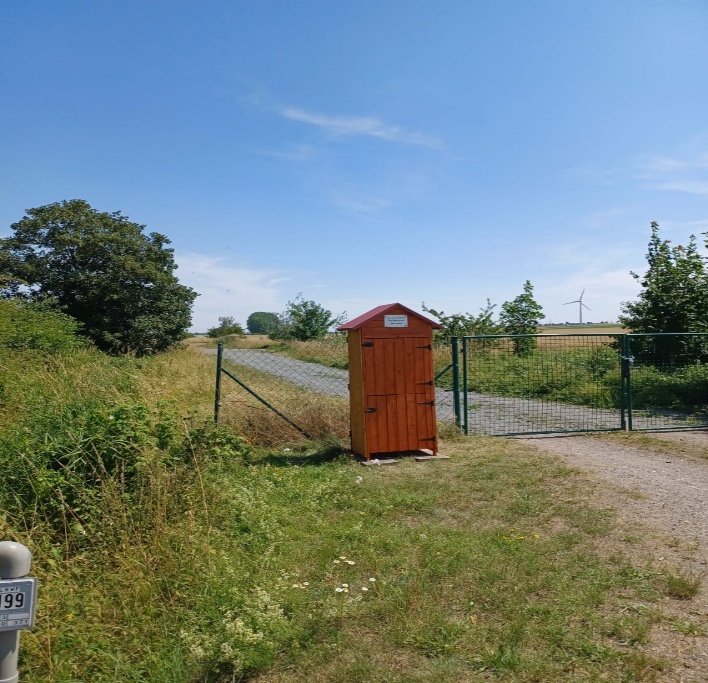 Junge Bäume entlang der Einfahrt auf dem Gelände in Kalme.